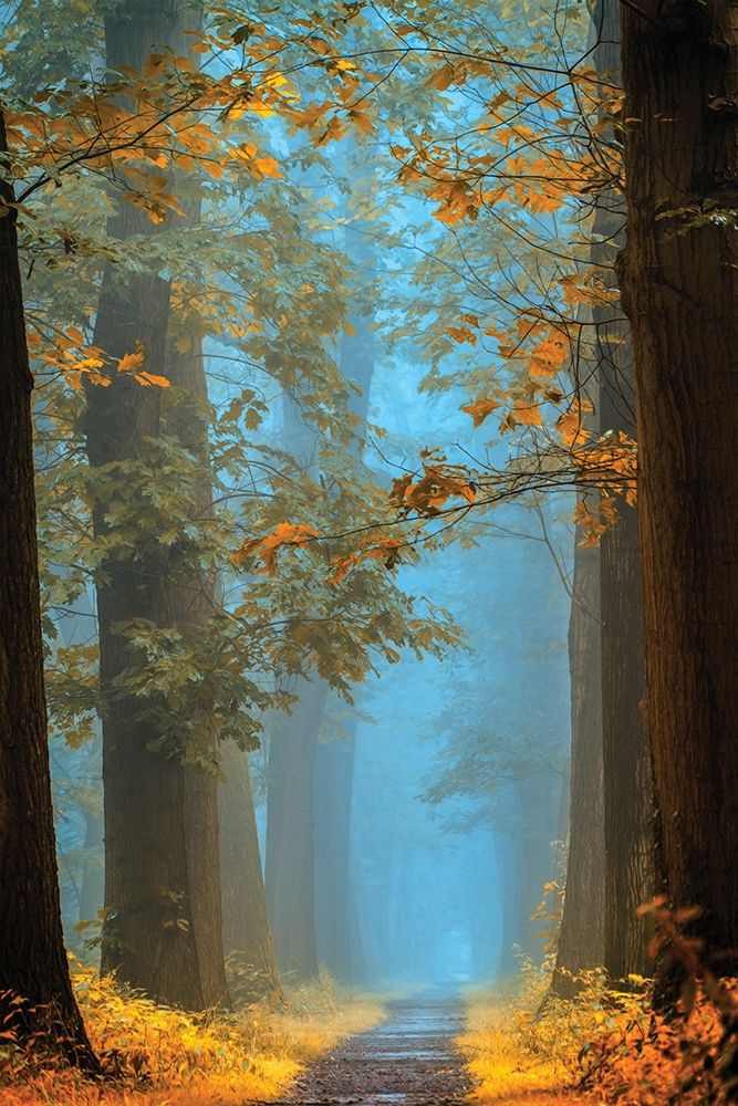 Orange Blue art print by Lars Van de Goor for $57.95 CAD
