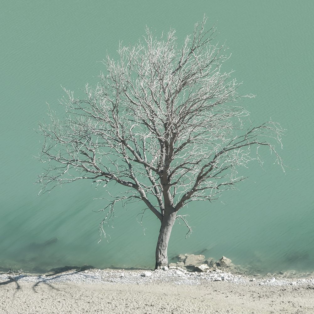 Wet Feet art print by Lars Van de Goor for $57.95 CAD