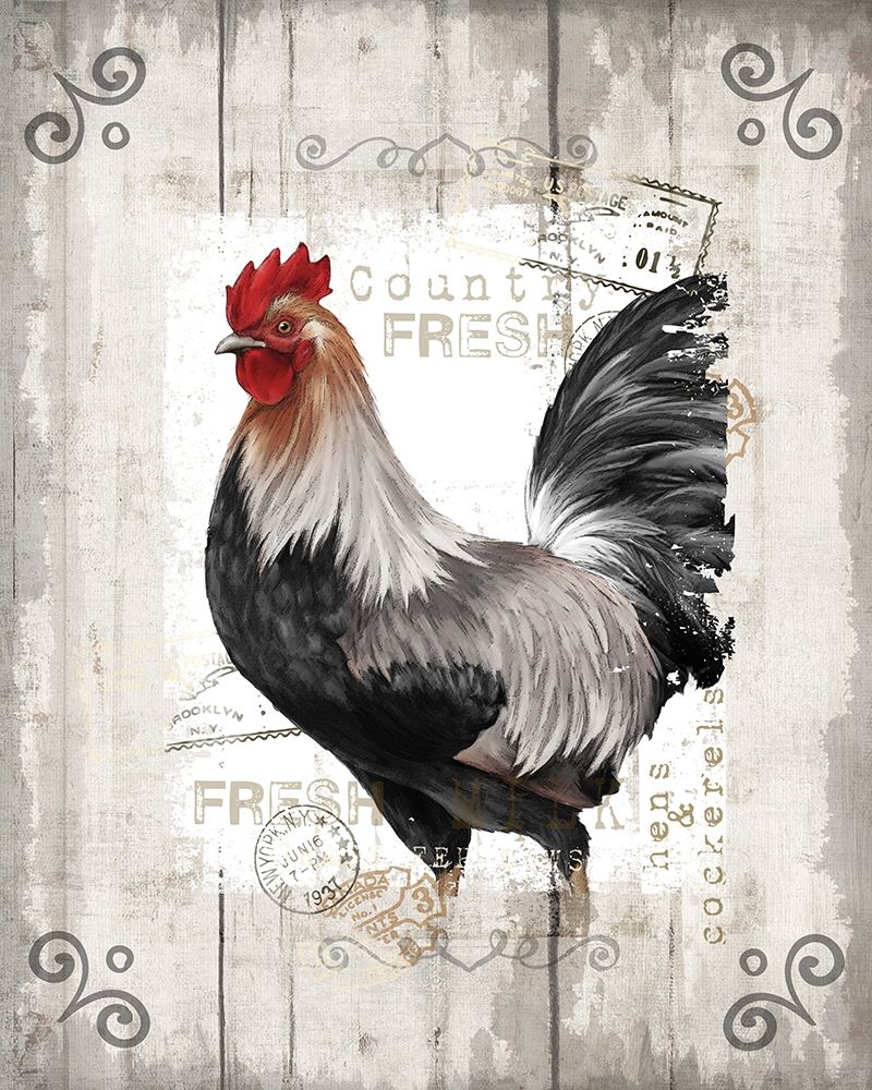 Country Fresh art print by Conrad Knutsen for $57.95 CAD