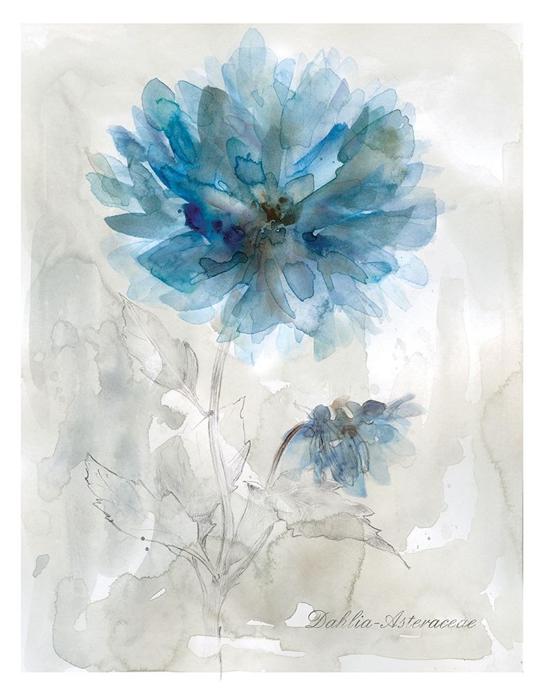 Blue Dahlia art print by Carol Robinson for $57.95 CAD