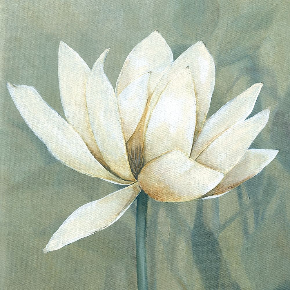 Waterlily I art print by Carol Robinson for $57.95 CAD