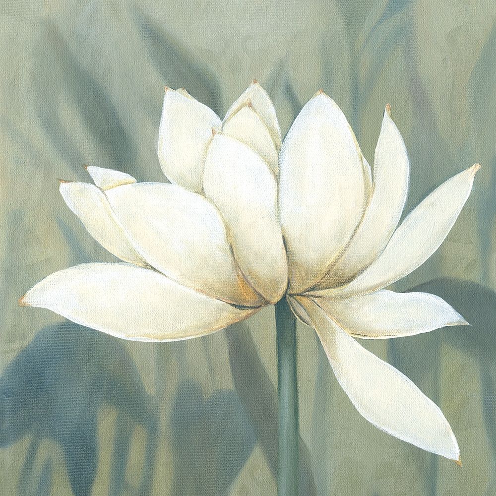 Waterlily II art print by Carol Robinson for $57.95 CAD