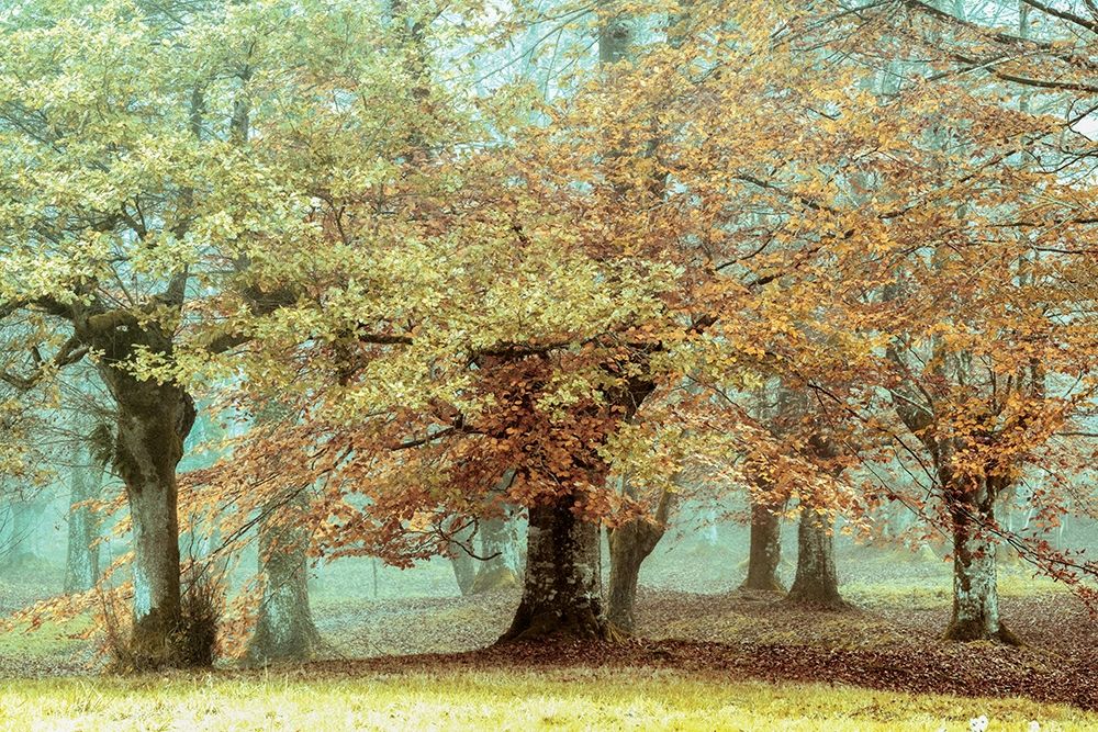 Teal Tree art print by Lars Van de Goor for $57.95 CAD