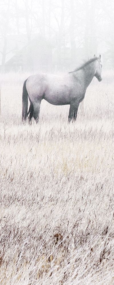 Misty Pasture I art print by Carol Robinson for $57.95 CAD