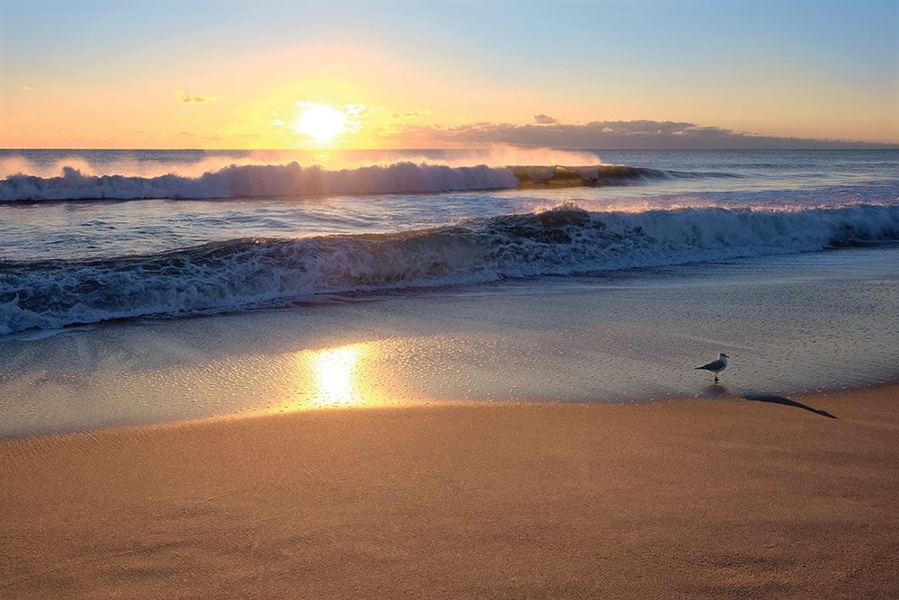 Sunset art print by Natalie Carpentieri for $57.95 CAD