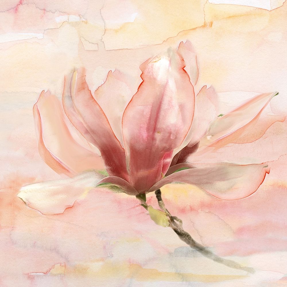 Dreamy Magnolia II art print by Nan for $57.95 CAD