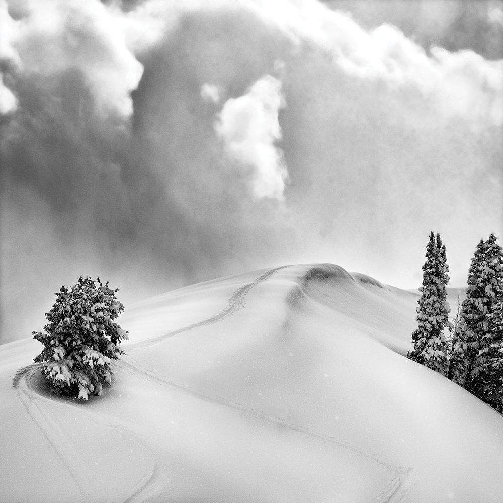 Fresh Powder art print by Danita Delimont for $57.95 CAD