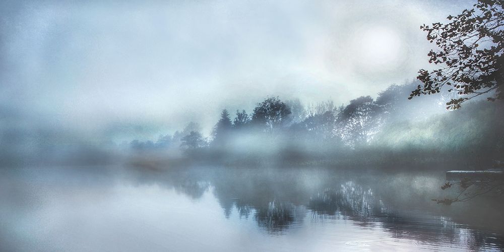 Morning Wonders art print by Irene Weisz for $57.95 CAD