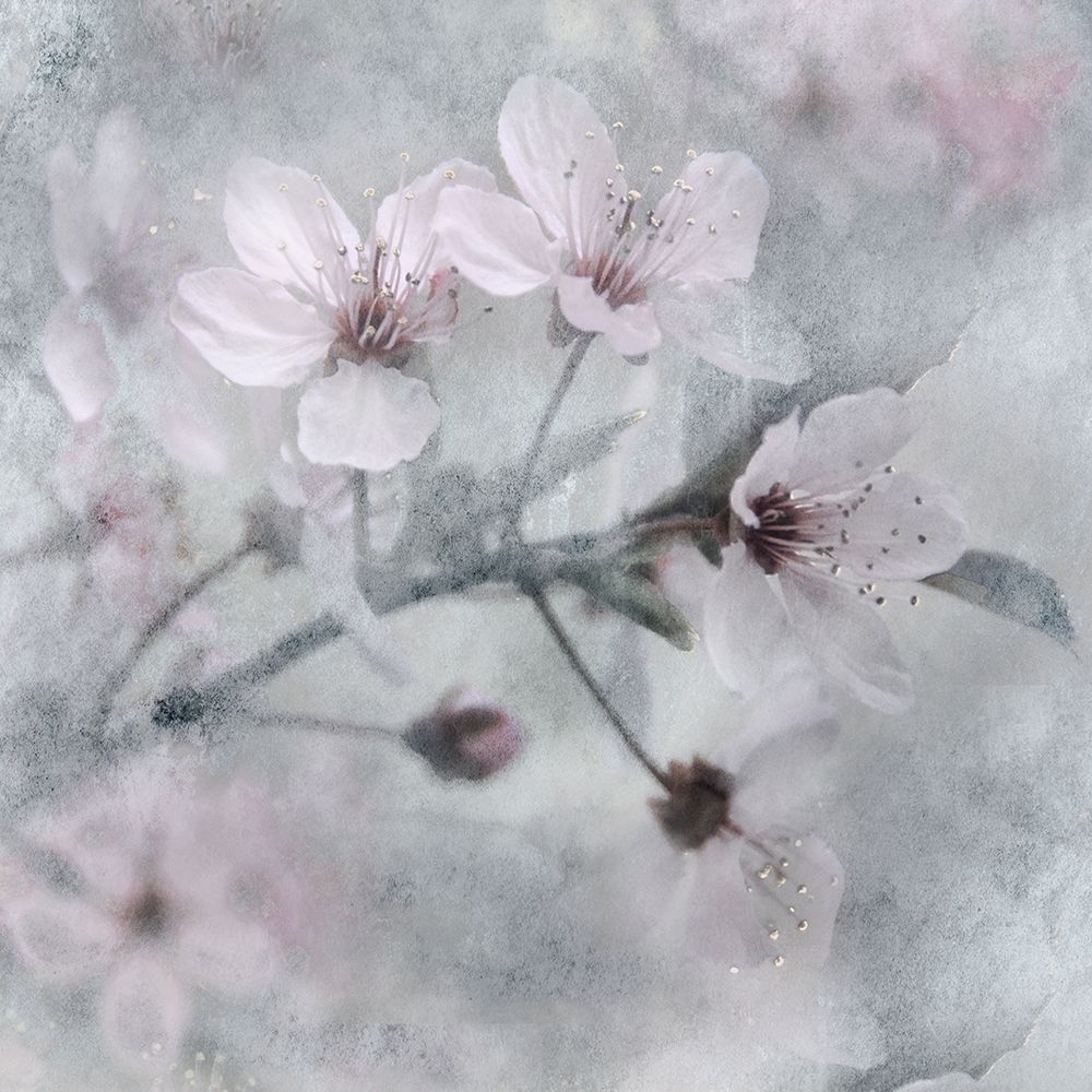 Spring art print by Irene Weisz for $57.95 CAD