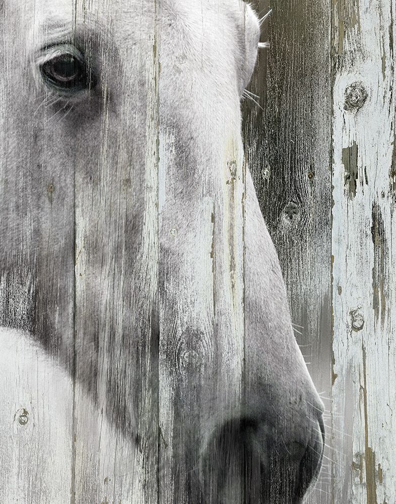 Contemplation art print by Carol Robinson for $57.95 CAD