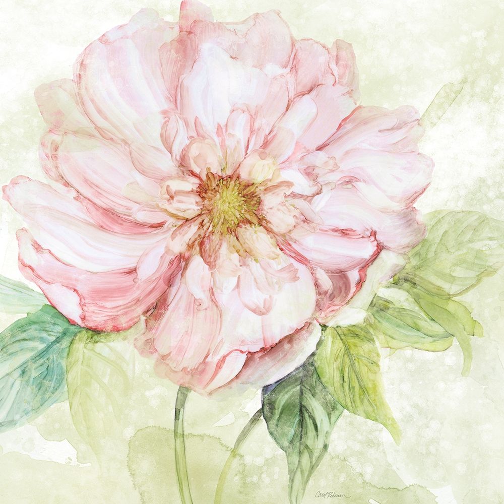 Translucent art print by Carol Robinson for $57.95 CAD