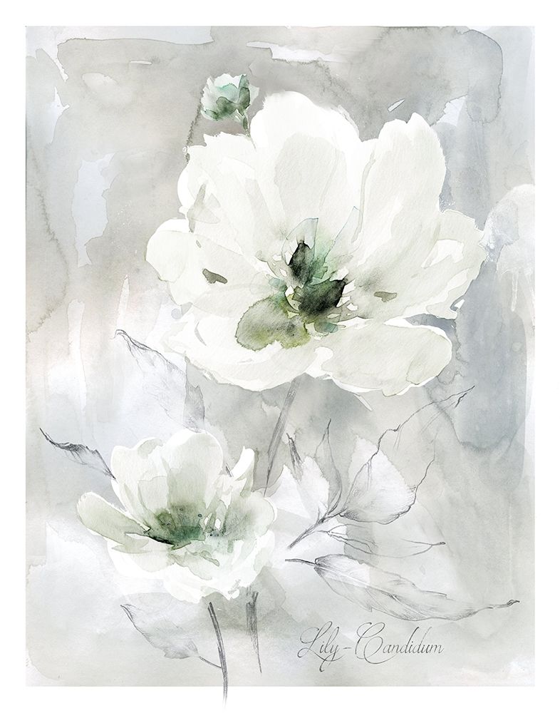White Lily art print by Carol Robinson for $57.95 CAD