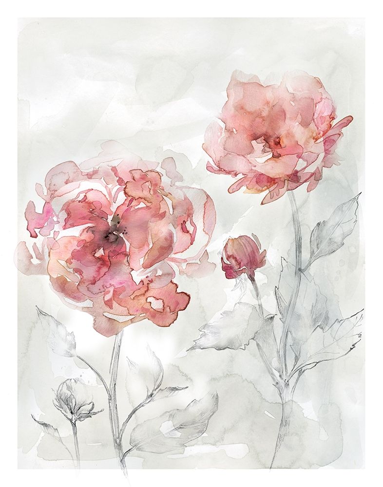 Blush Botanical II art print by Carol Robinson for $57.95 CAD
