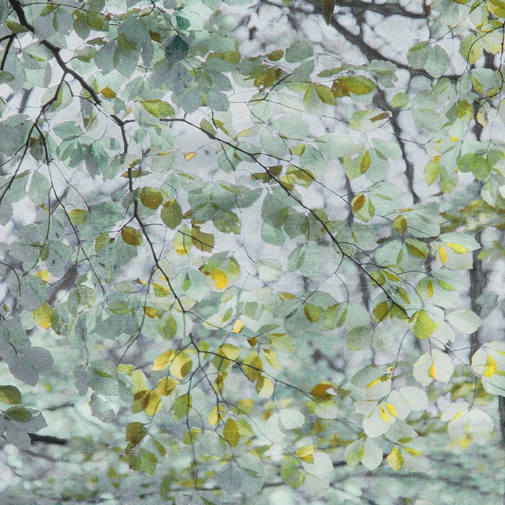 Dancing Leaves art print by Irene Weisz for $57.95 CAD