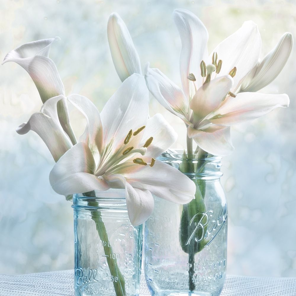 Ball Mason Lily I art print by Irene Weisz for $57.95 CAD