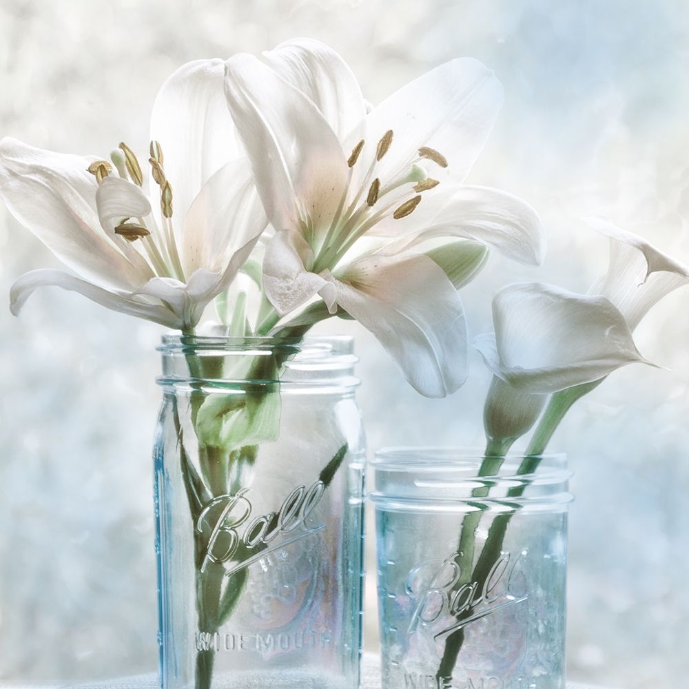 Ball Mason Lily II art print by Irene Weisz for $57.95 CAD