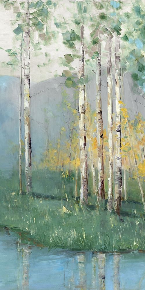 Birch art print by Sally Swatland for $57.95 CAD