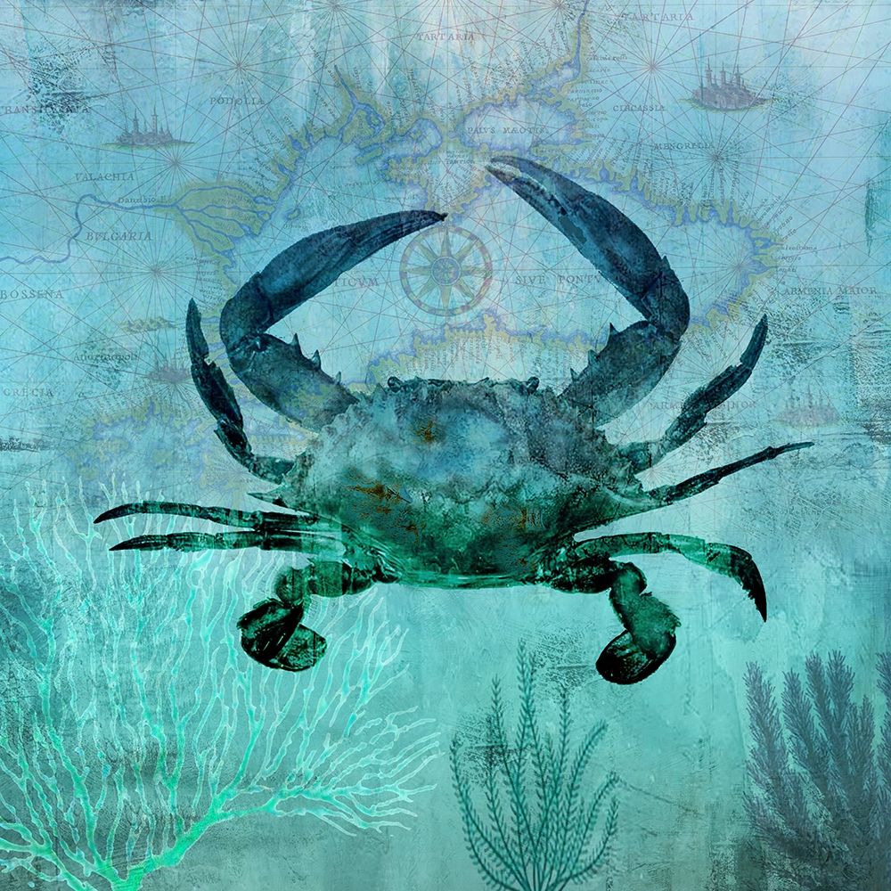 Pacific Crab art print by Nan for $57.95 CAD