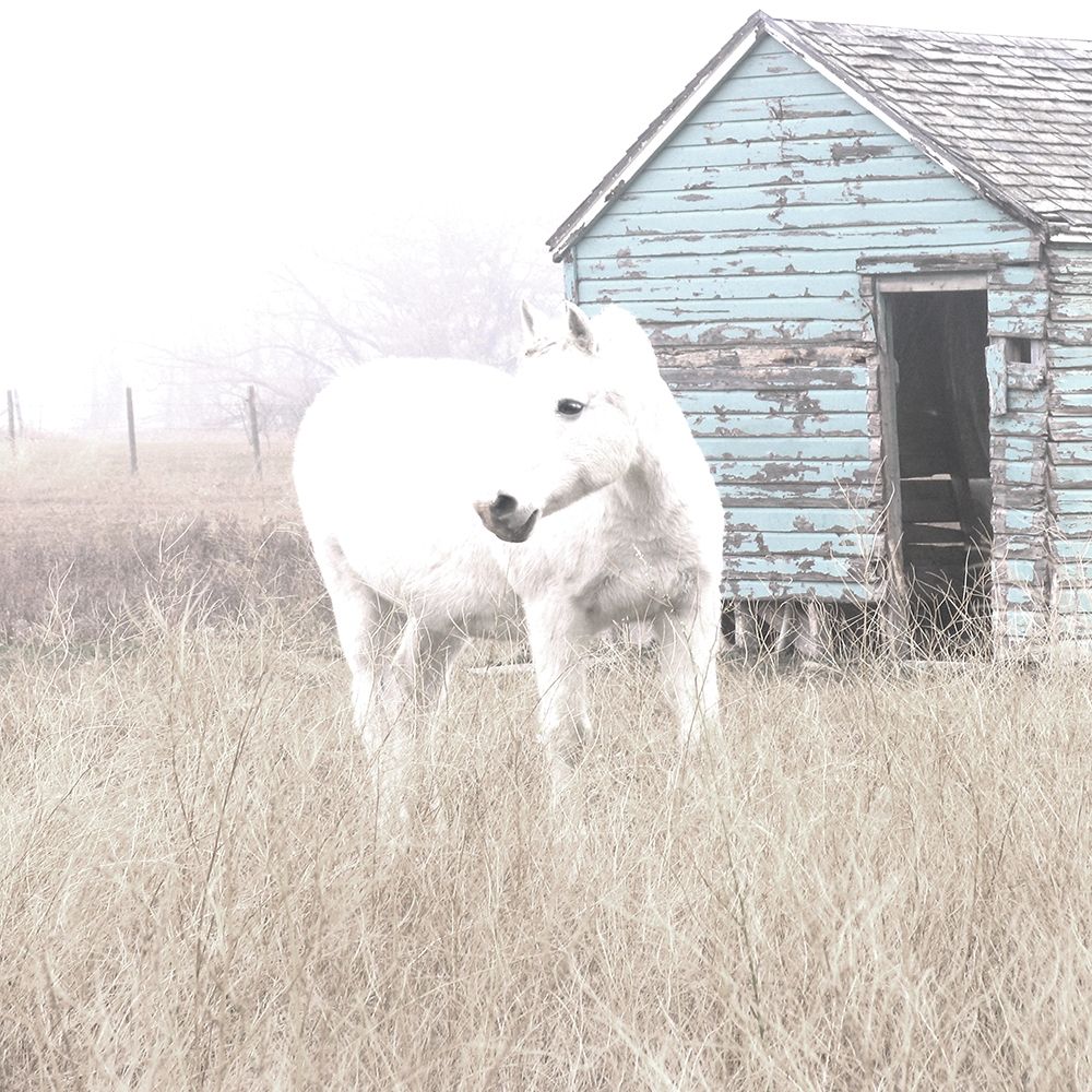 High Key Horse I art print by Carol Robinson for $57.95 CAD
