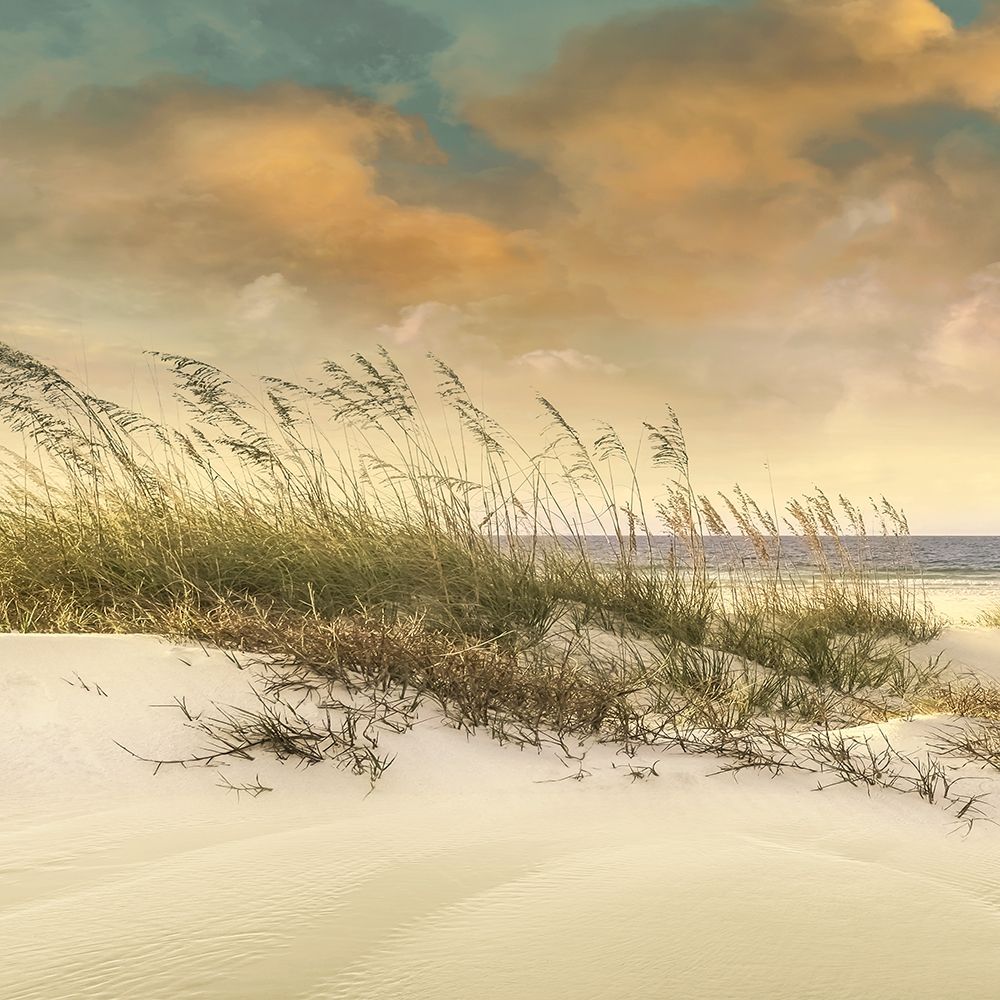 West Breeze art print by Mike Calascibetta for $57.95 CAD