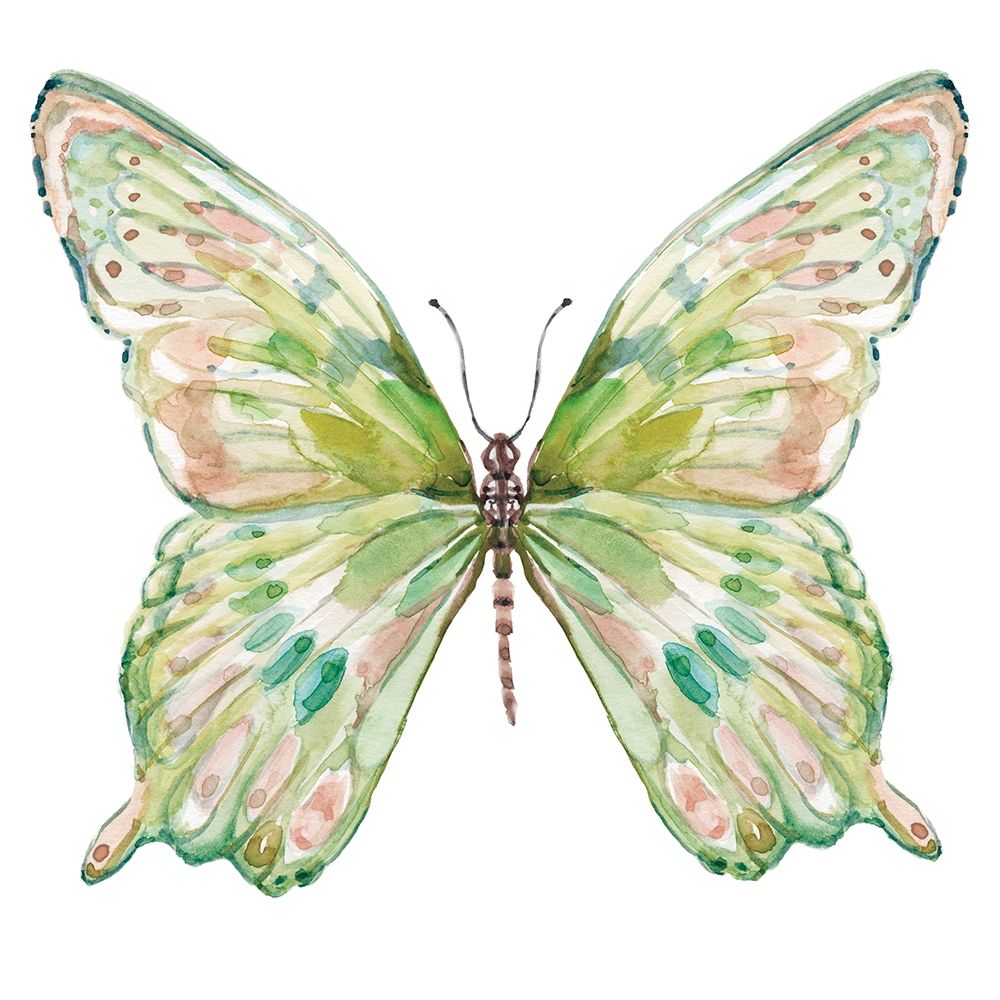 Soft Wings I art print by Carol Robinson for $57.95 CAD