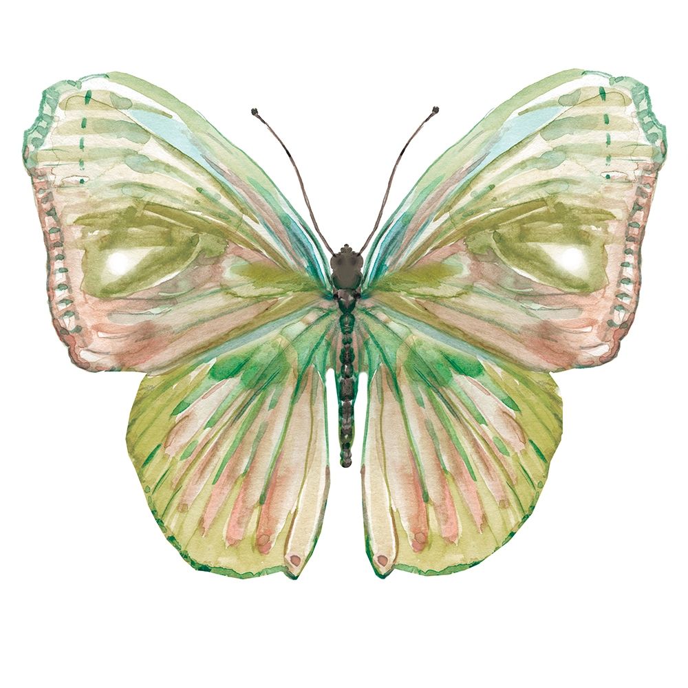 Soft Wings II art print by Carol Robinson for $57.95 CAD