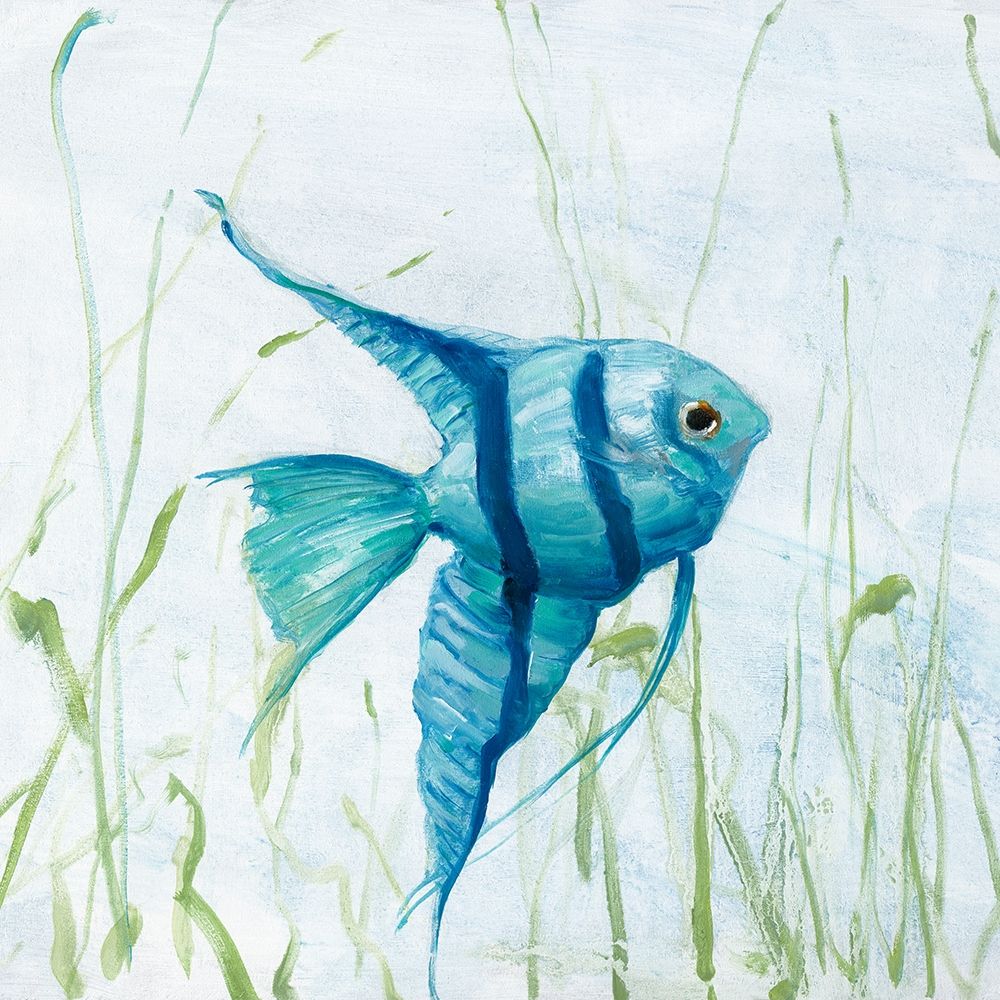 Reef Encounter art print by Sally Swatland for $57.95 CAD