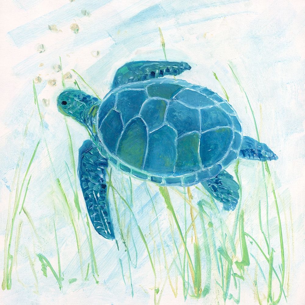 Reef Turtle II art print by Sally Swatland for $57.95 CAD