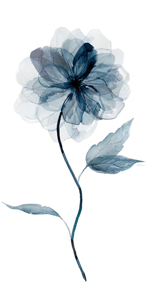 Indigo Floral I art print by Carol Robinson for $57.95 CAD