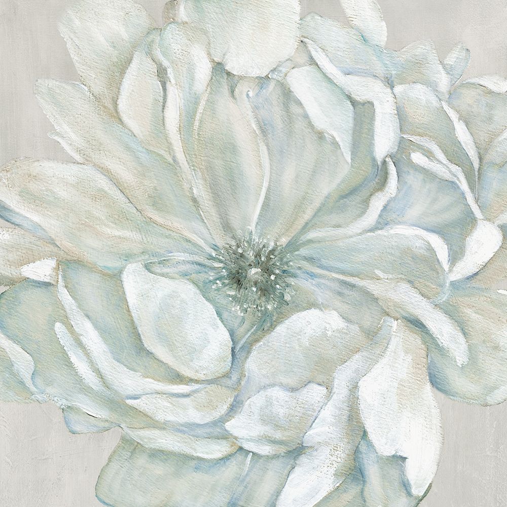Morning Petals I art print by Carol Robinson for $57.95 CAD