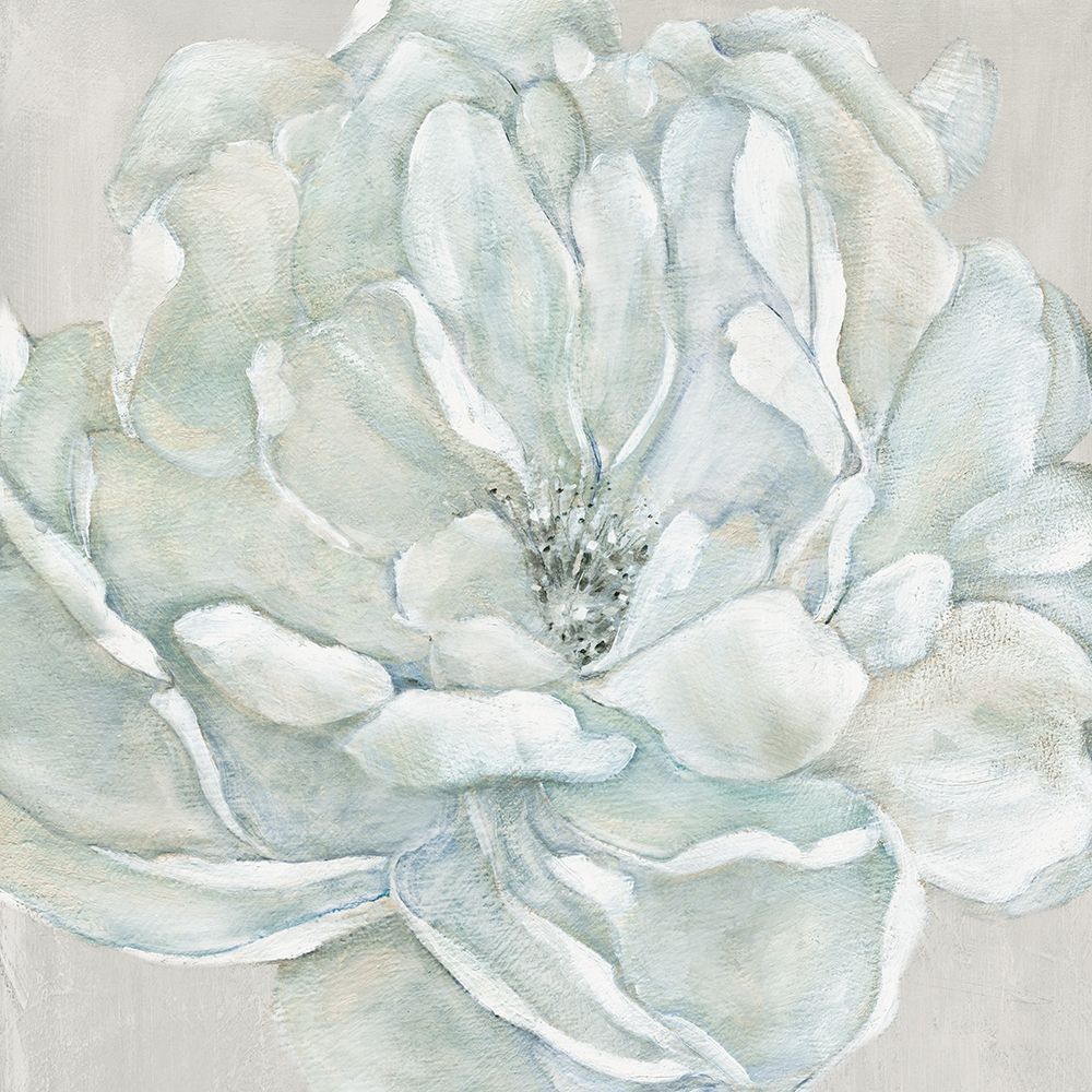 Morning Petals art print by Carol Robinson for $57.95 CAD
