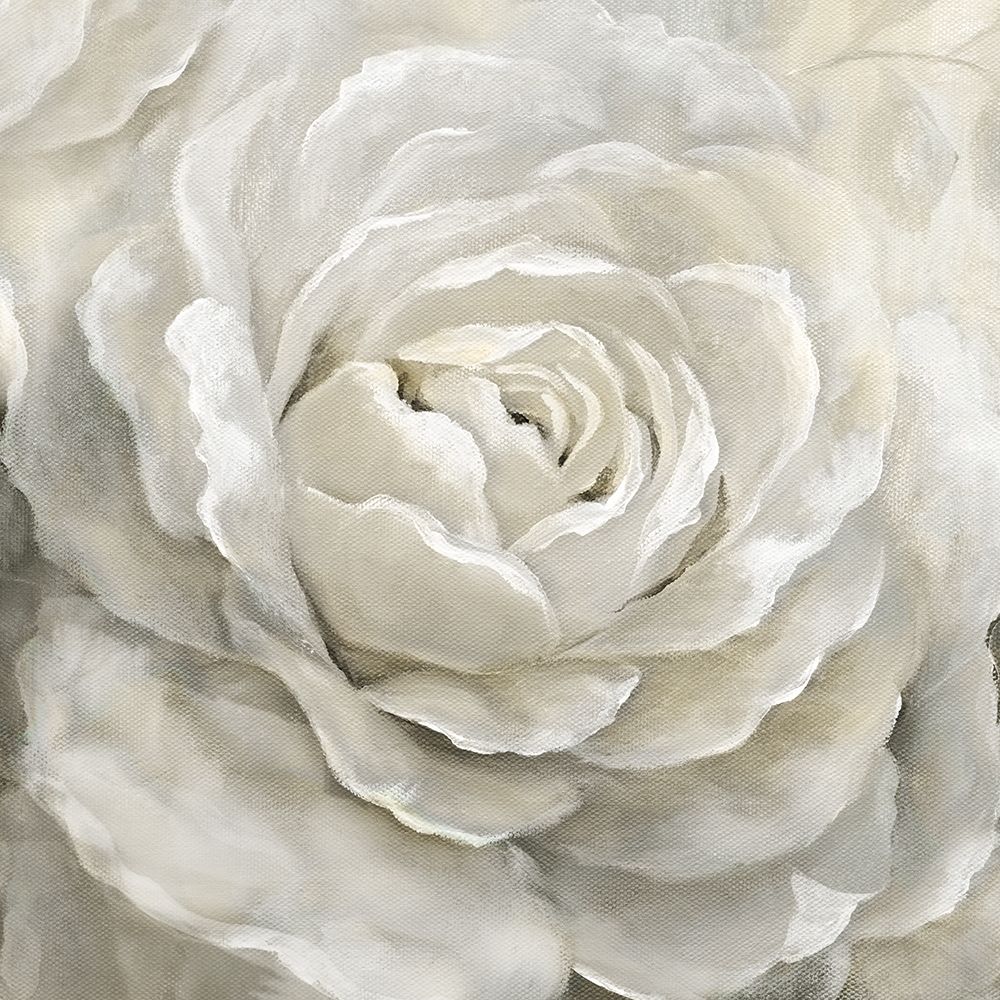Petal Perfect art print by Nan for $57.95 CAD