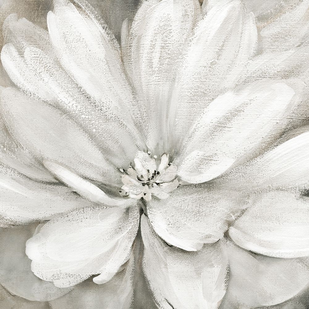 Simply Soft art print by Carol Robinson for $57.95 CAD
