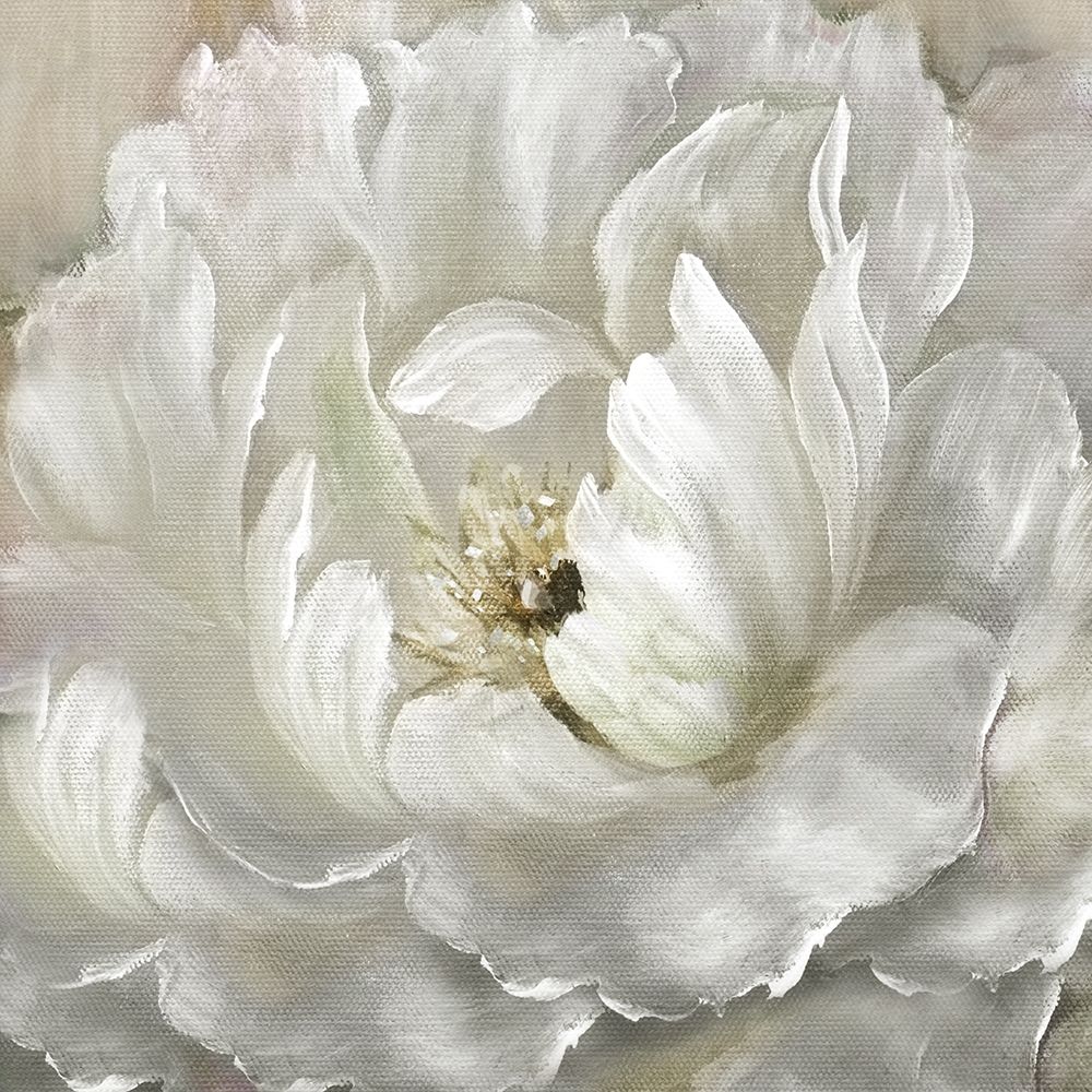 Perfect Peony art print by Nan for $57.95 CAD