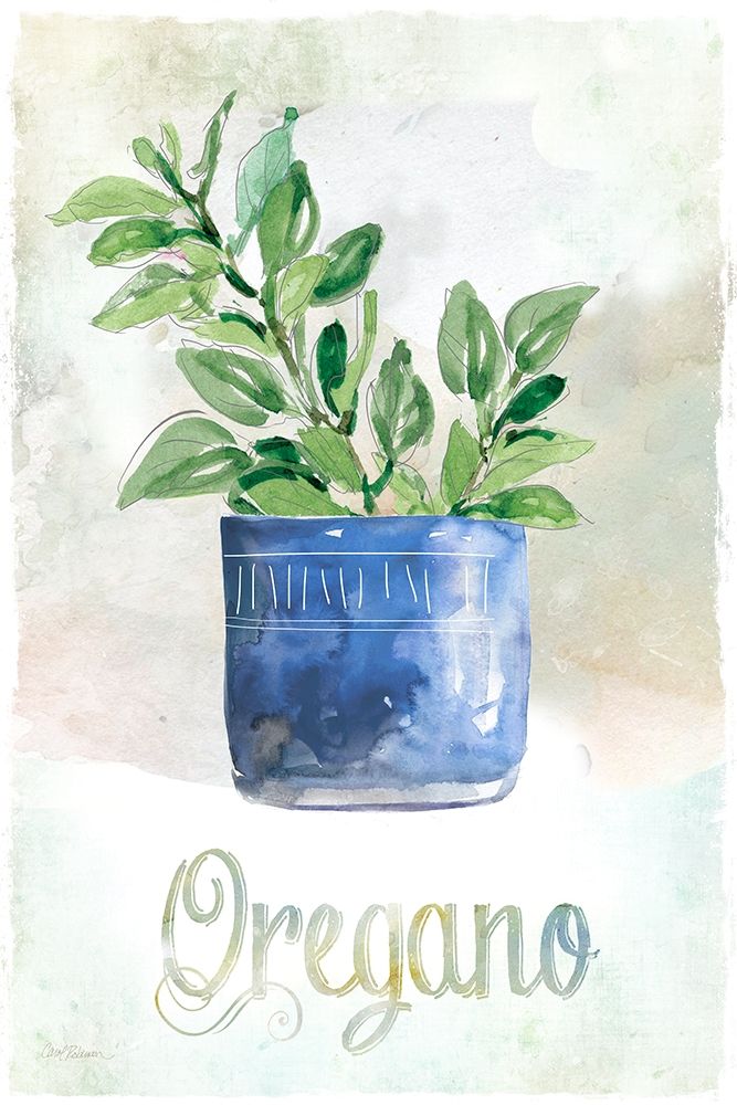 Potted Oregano art print by Carol Robinson for $57.95 CAD