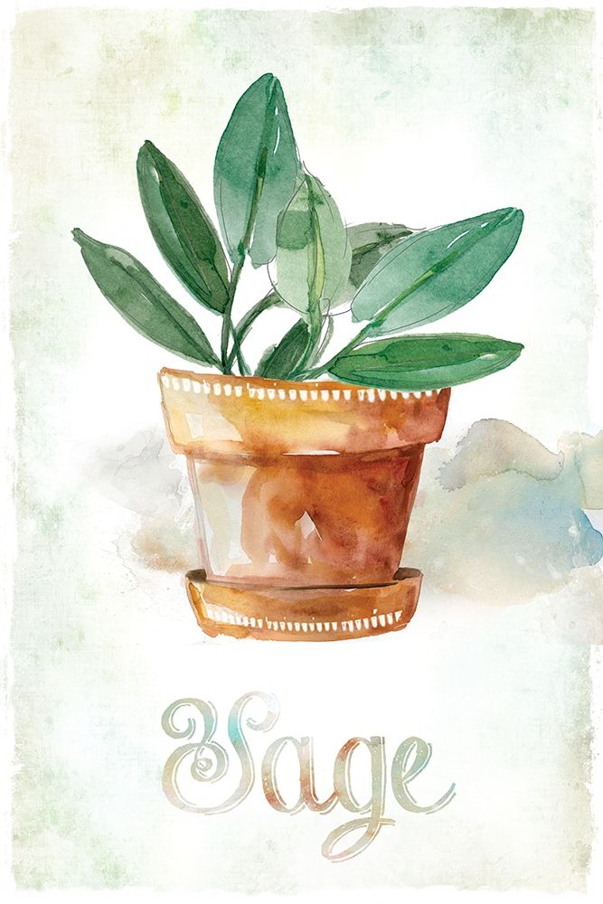 Potted Sage art print by Carol Robinson for $57.95 CAD