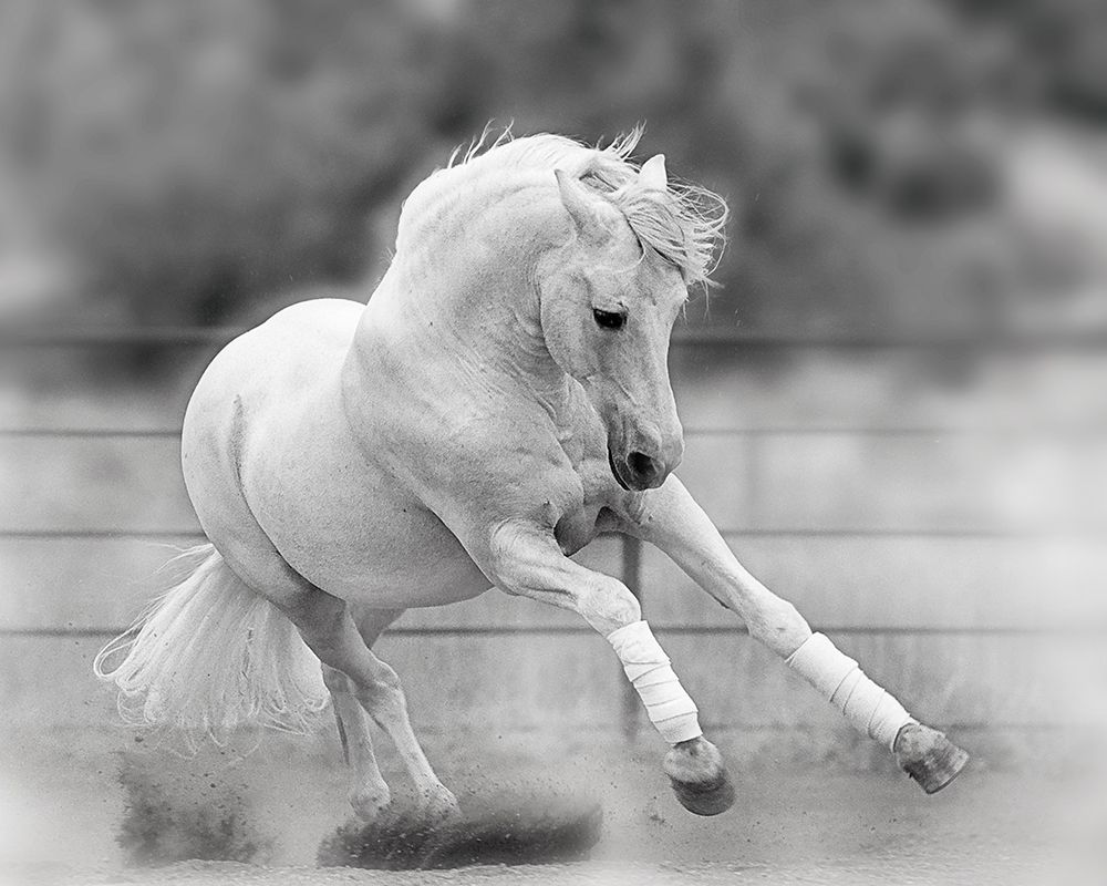 All For Show art print by Lee Klopfer for $57.95 CAD