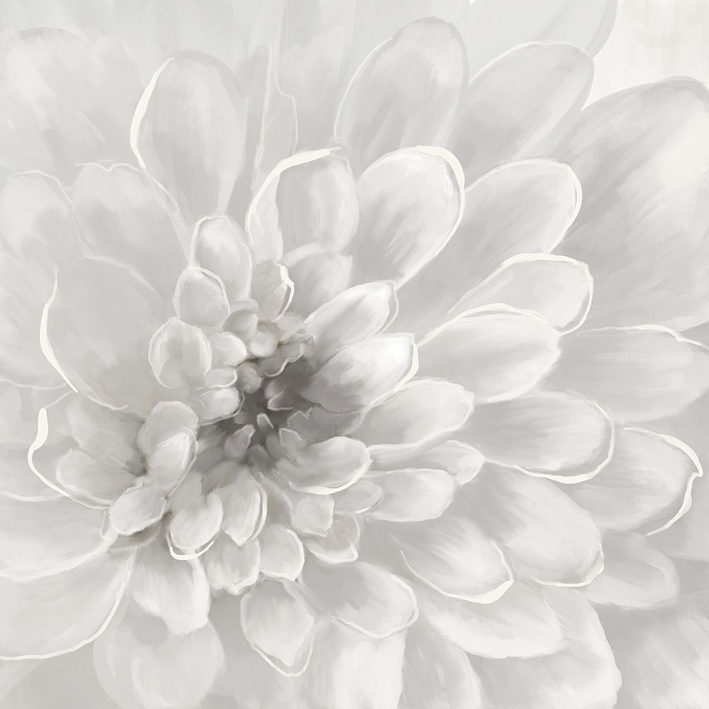 Dahlia art print by Nan for $57.95 CAD