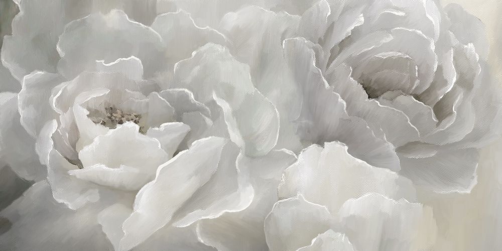 Soft Peony Lace art print by Nan for $57.95 CAD