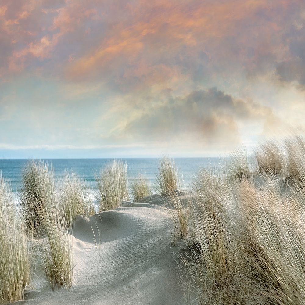 Windswept I art print by Mike Calascibetta for $57.95 CAD
