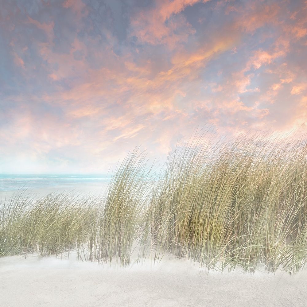 Windswept II art print by Mike Calascibetta for $57.95 CAD
