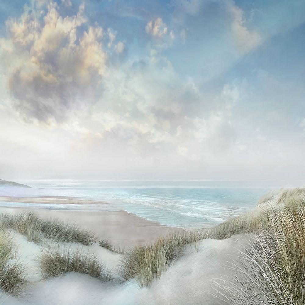 Windswept art print by Mike Calascibetta for $57.95 CAD