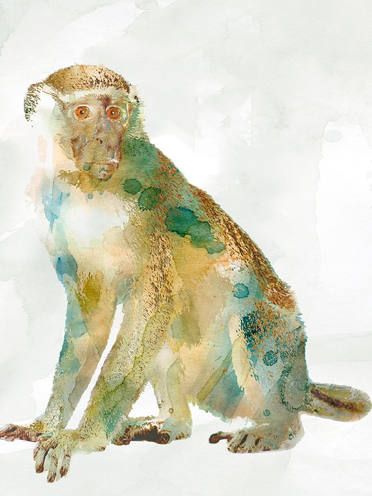 African Colors Monkey art print by Carol Robinson for $57.95 CAD