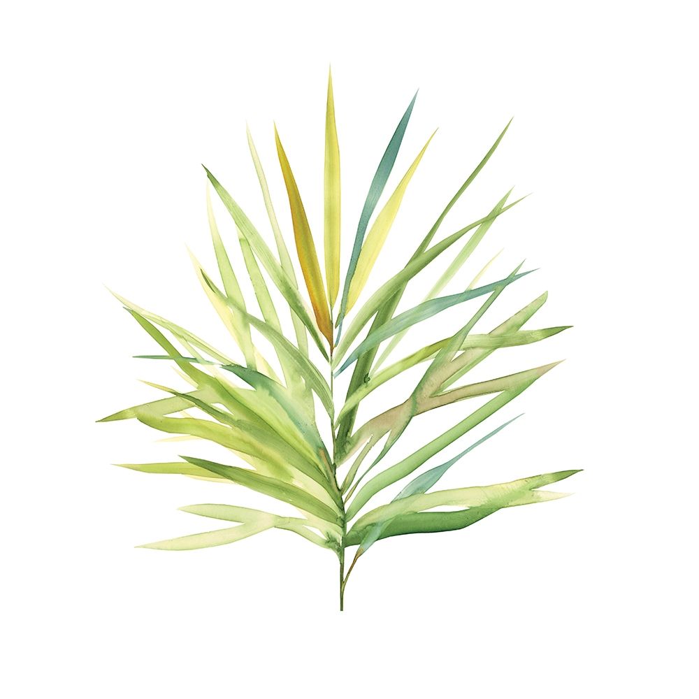 Tropical Botanical I art print by Carol Robinson for $57.95 CAD