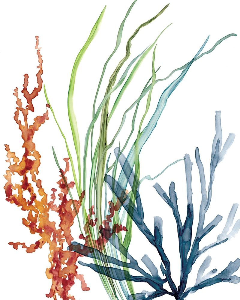 Ocean Garden I art print by Carol Robinson for $57.95 CAD