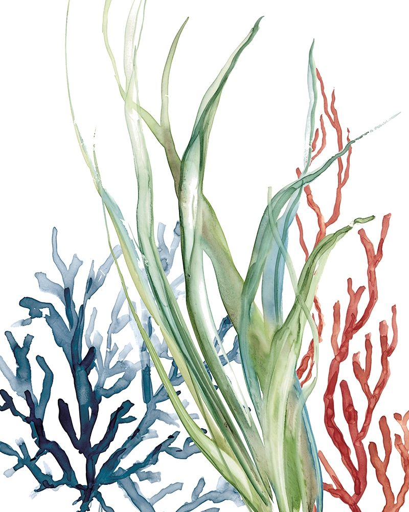 Ocean Garden II art print by Carol Robinson for $57.95 CAD