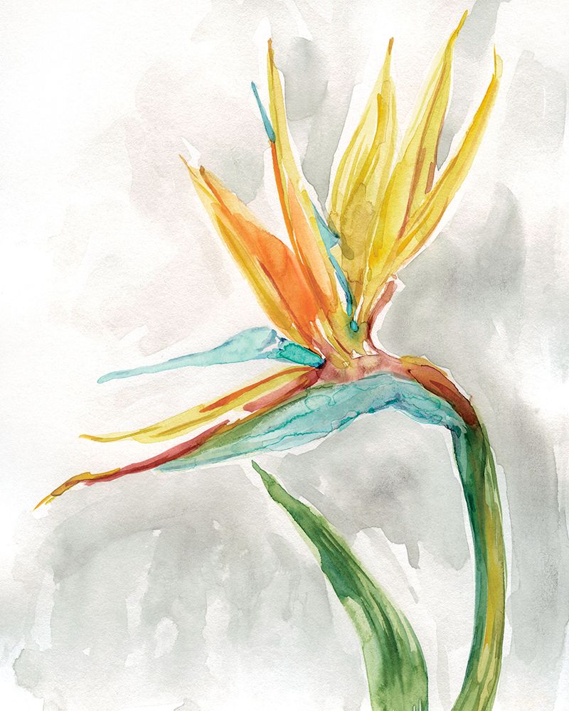 Bird of Paradise II art print by Carol Robinson for $57.95 CAD