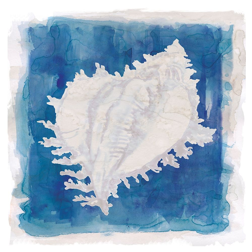 Coastal Washes Shell I art print by Carol Robinson for $57.95 CAD