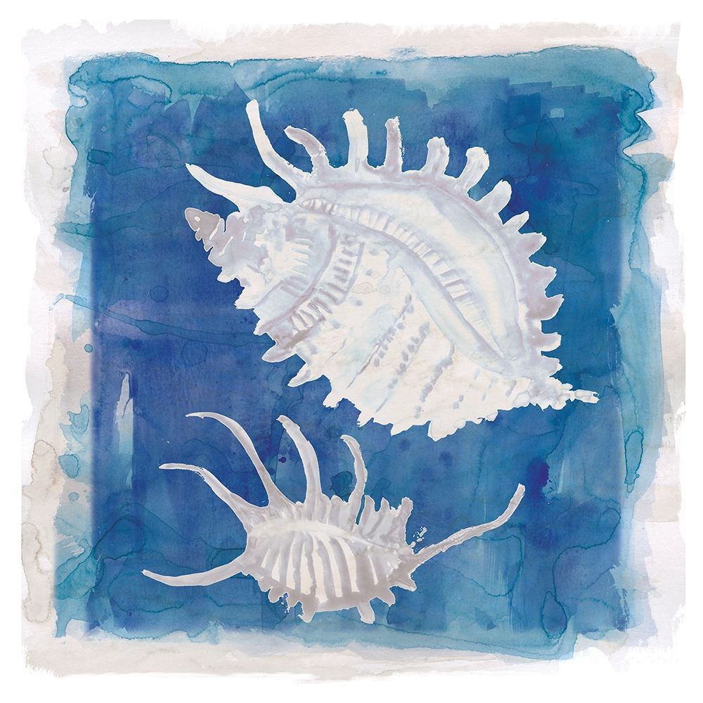 Coastal Washes Shell II art print by Carol Robinson for $57.95 CAD