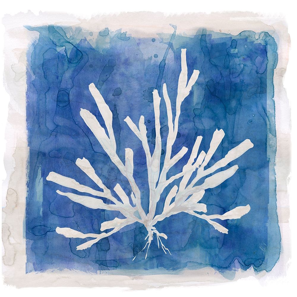 Coastal Washes Shell III art print by Carol Robinson for $57.95 CAD